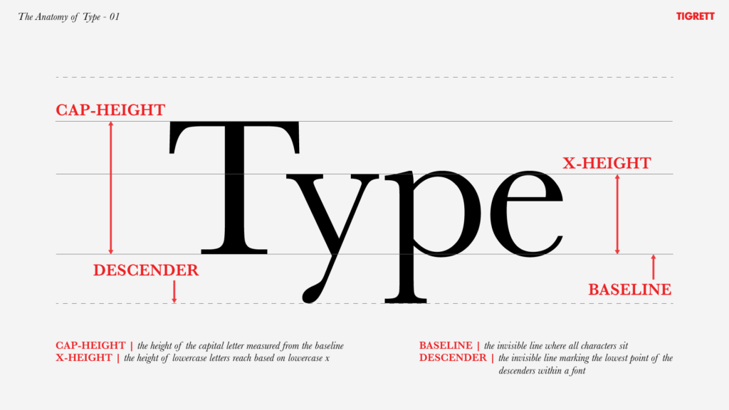 Typographic Terminology The Anatomy Of Type The Basics The Tigrett Agency