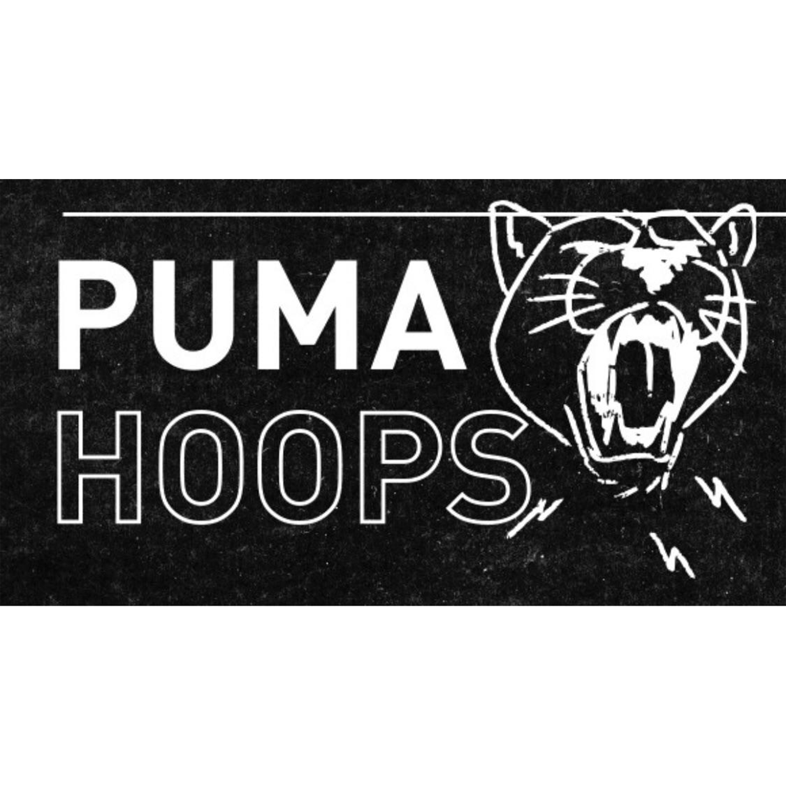 Puma Hoops Logo