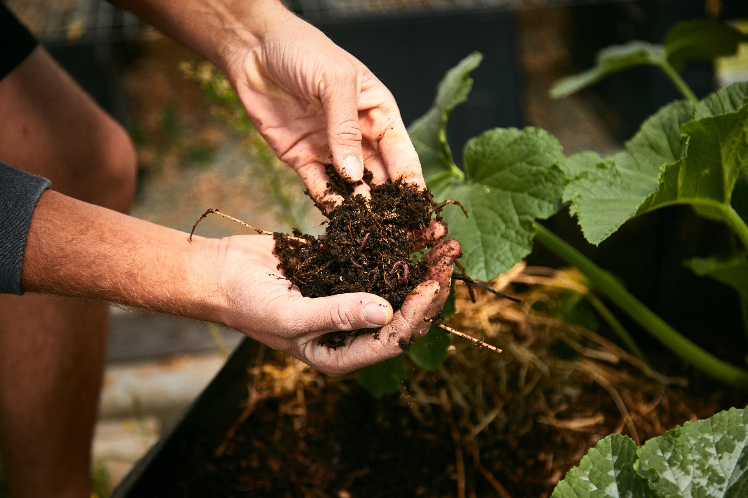 Terpene Fresh - Scottsdale Brand Lifestyle Photography - Cannabis Cultivator Earth