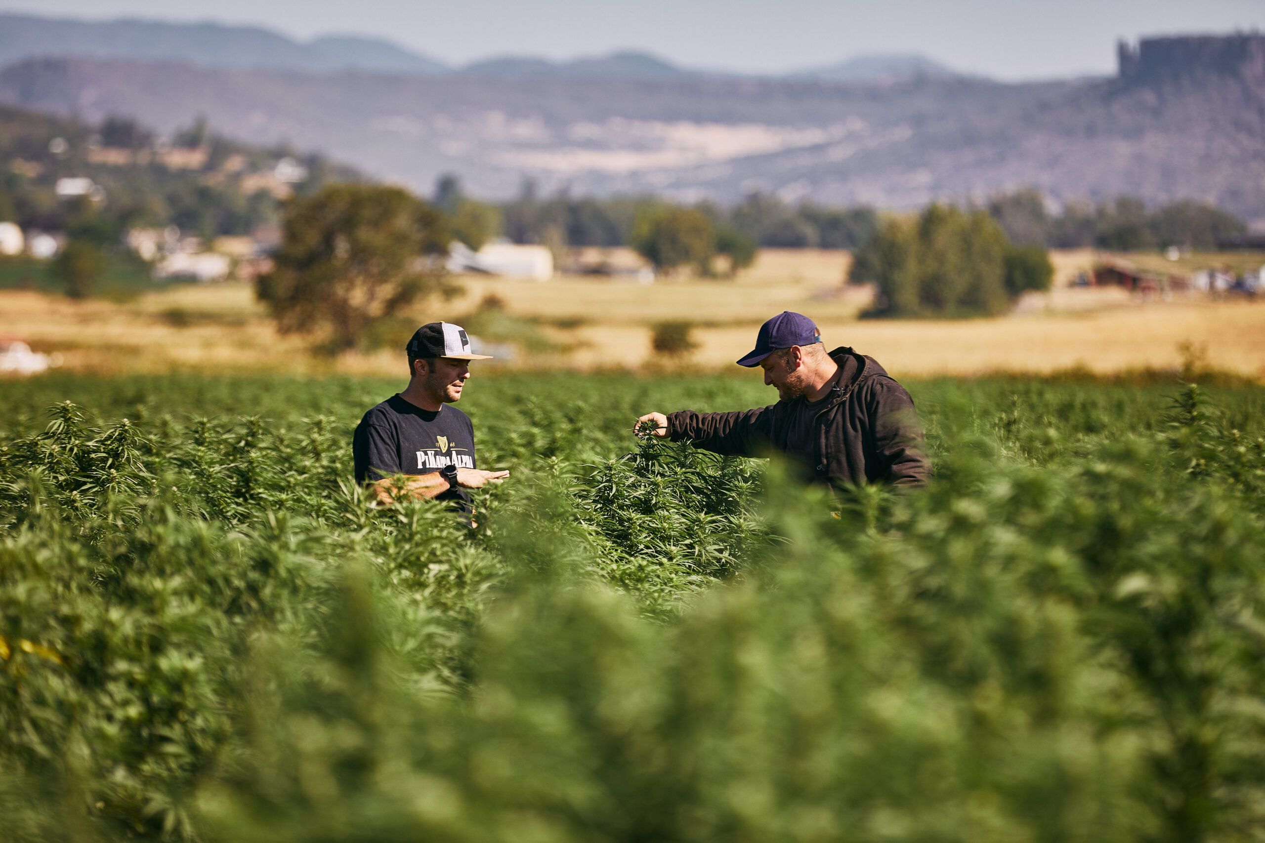 Terpene Fresh - Scottsdale Brand Lifestyle Photography - Cannabis Cultivators Talking